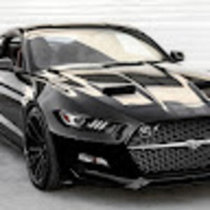 Meet your Posher, Donnell